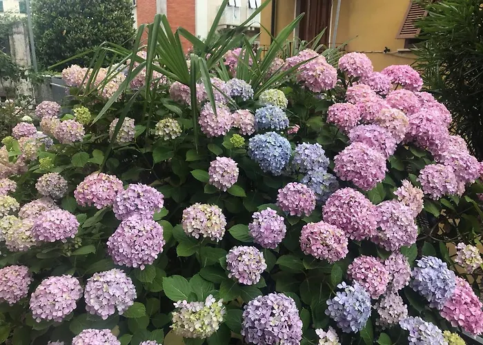 La Casa Dell'ortensia - 1937 La Spezia