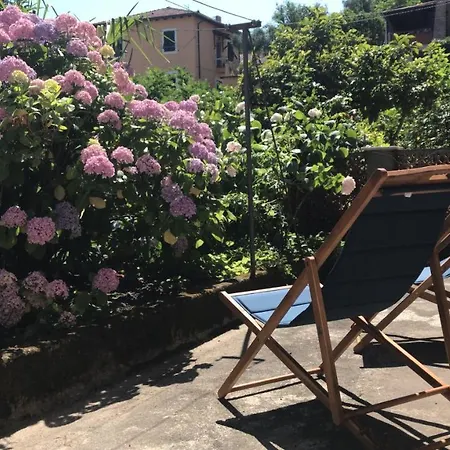La Casa Dell'ortensia - 1937 公寓 *